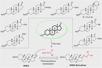 The <mark class="highlighted">Antiviral Effect</mark> of Novel Steroidal Derivatives on Flaviviruses